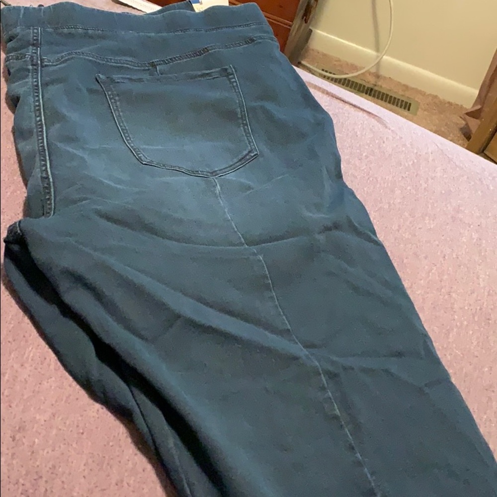 Pant never worn